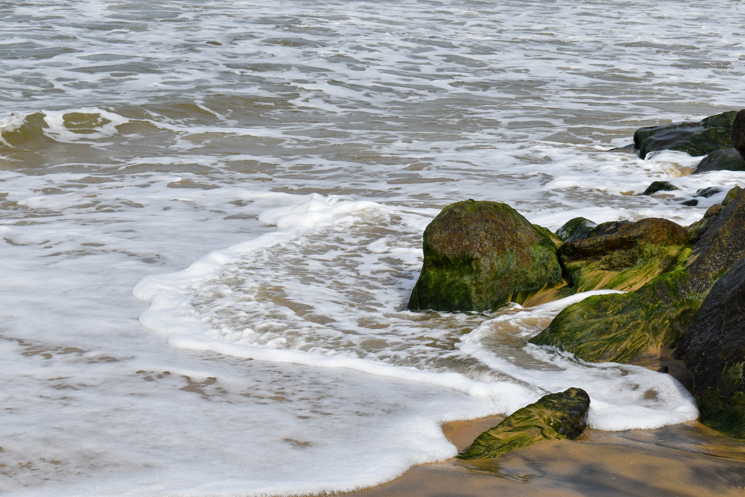kollam (4).webp